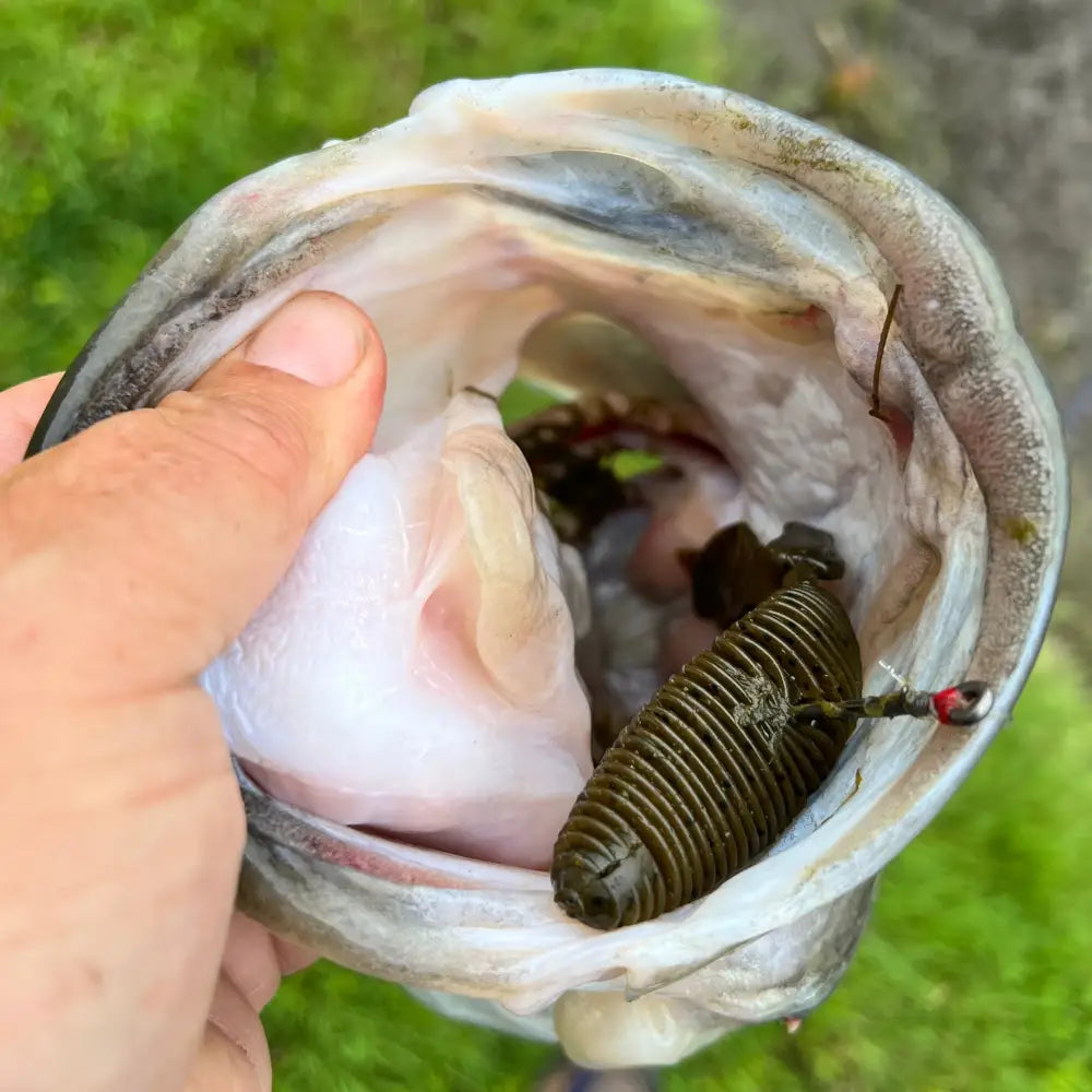 Missile Baits D Bomb (6pk) - fishing lures