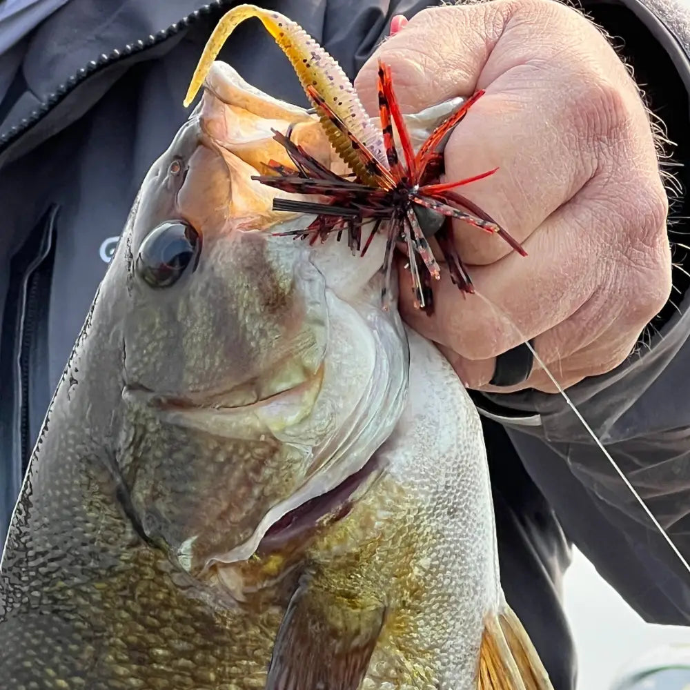 Missile Baits Ned Bomb (10pk) - fishing lures
