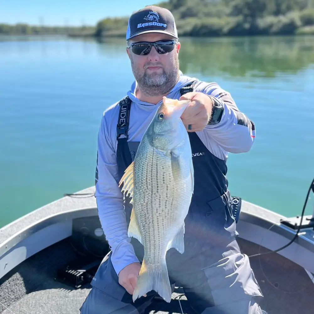 RIP Baby Umbrella Rig - fishing lures