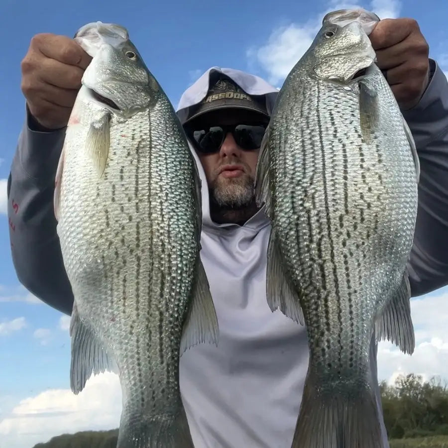 RIP Baby Umbrella Rig V2 - fishing lures