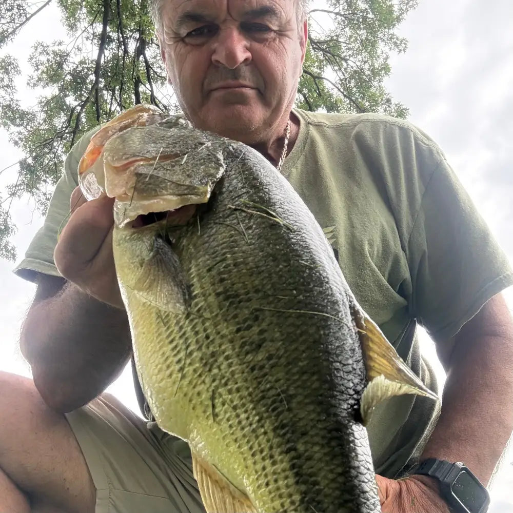 Speedball Double Willow Spinnerbait - fishing lures