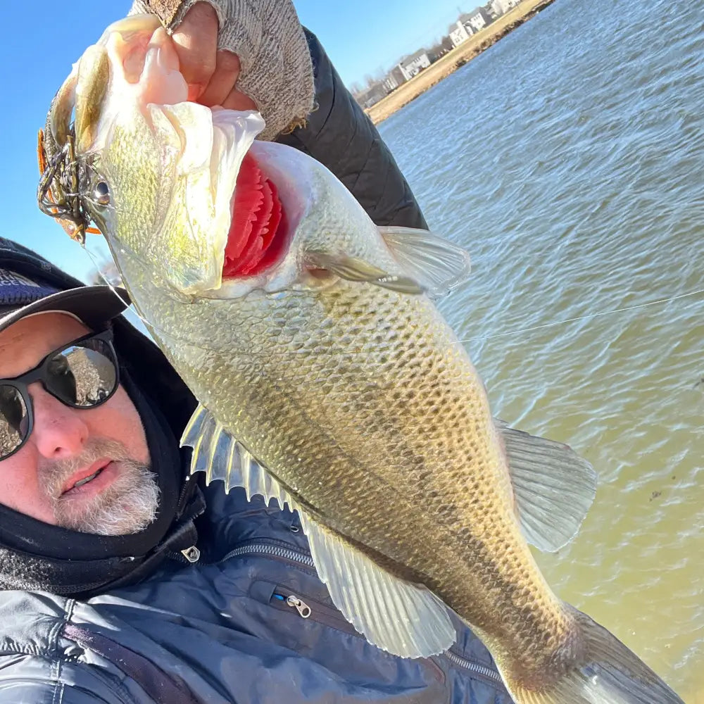 Speedball Magnum Swim Jig - fishing lures