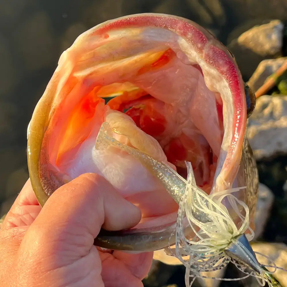 Speedball Ultimate Swim Jig - fishing lures