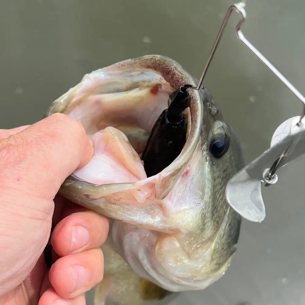 Totally Buzzedbait - fishing lures