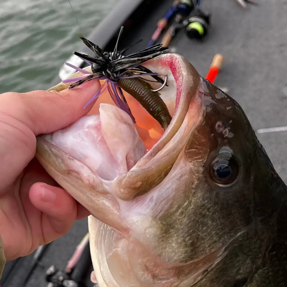 Candy Finesse Jig - fishing lures