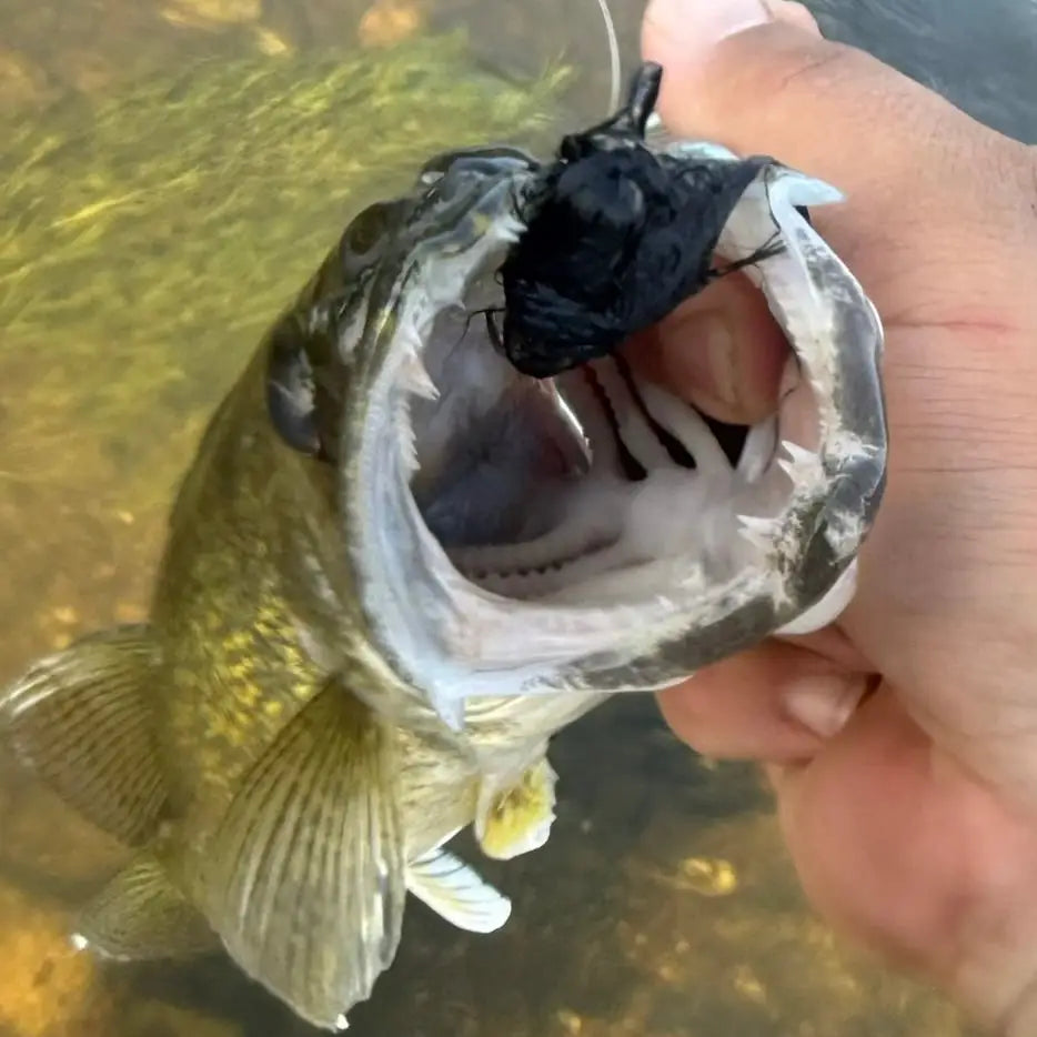 Cloud-9 Hair Jig - fishing lures