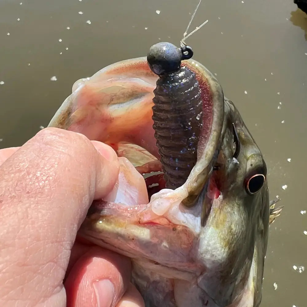 Disco Biscuit Ball Head Jig (3pk) - fishing lures