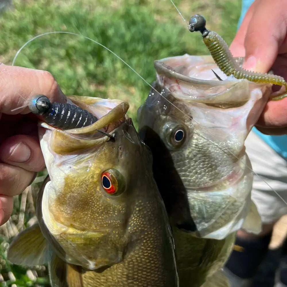 Disco Biscuit Ball Head Jig (3pk) - fishing lures