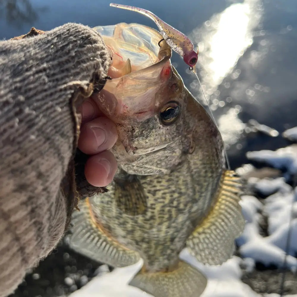 Lil Bump Crappie Jig Head (3pk) - Panfish Lures