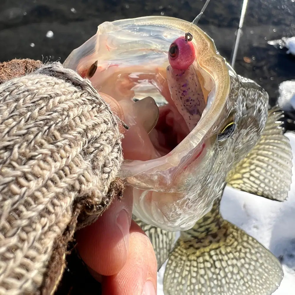 Lil Bump Crappie Jig Head (3pk) - Panfish Lures