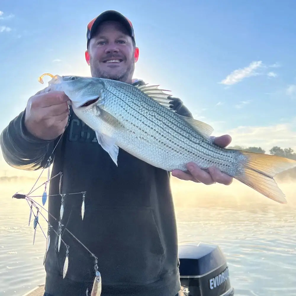 RIP Umbrella Rig - fishing lures