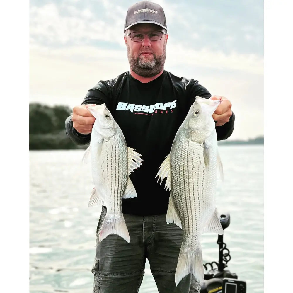 RIP Umbrella Rig - fishing lures