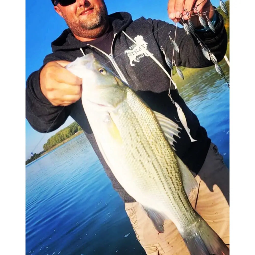 RIP Umbrella Rig - fishing lures