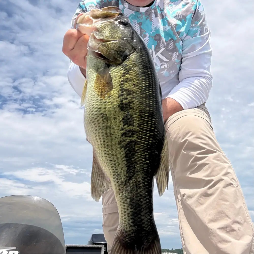 Speedball Double Willow Spinnerbait - fishing lures