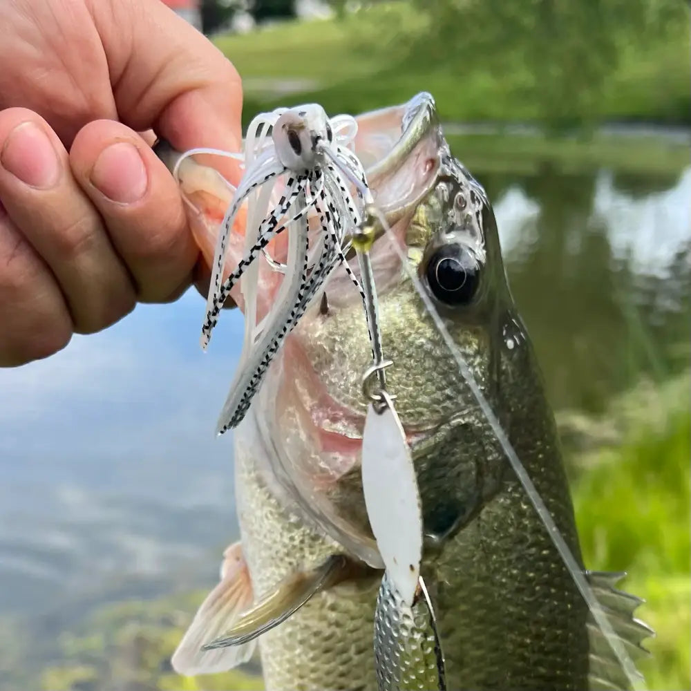 Speedball Double Willow Spinnerbait - fishing lures