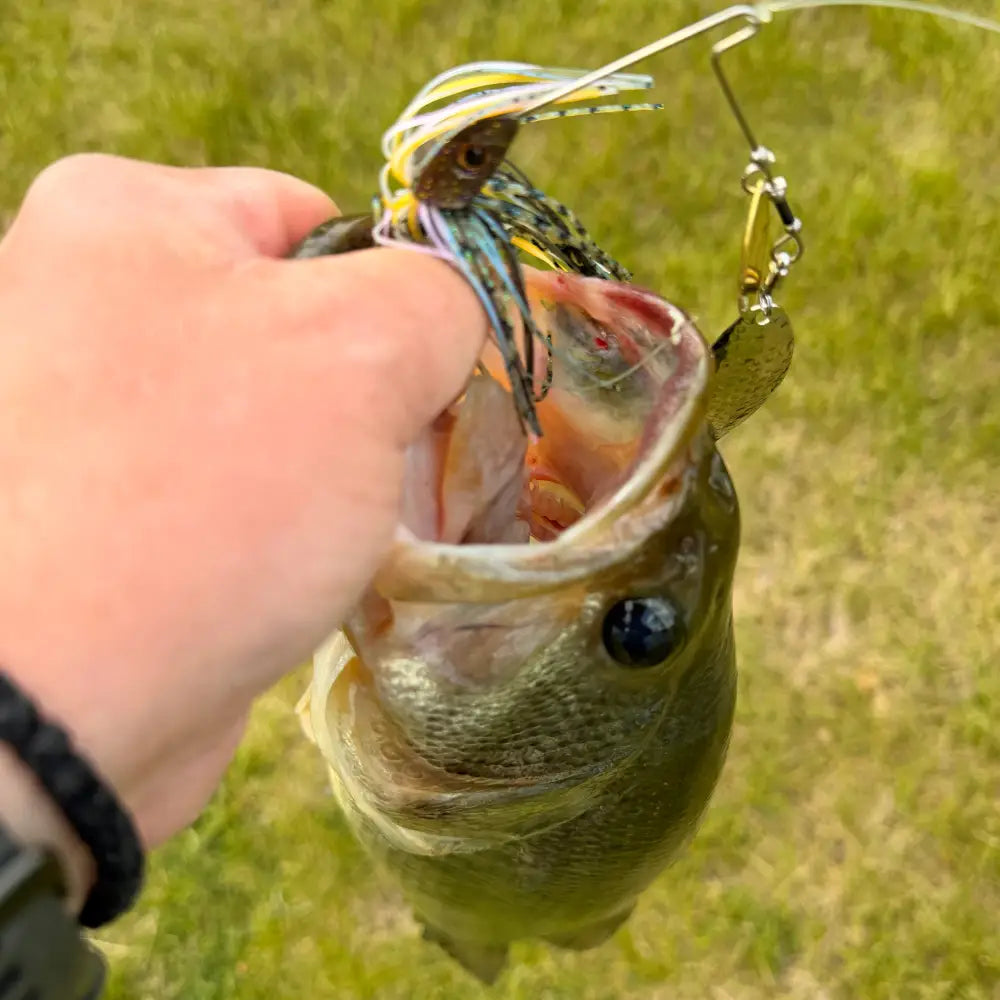 Speedball Finesse Spinnerbait - fishing lures