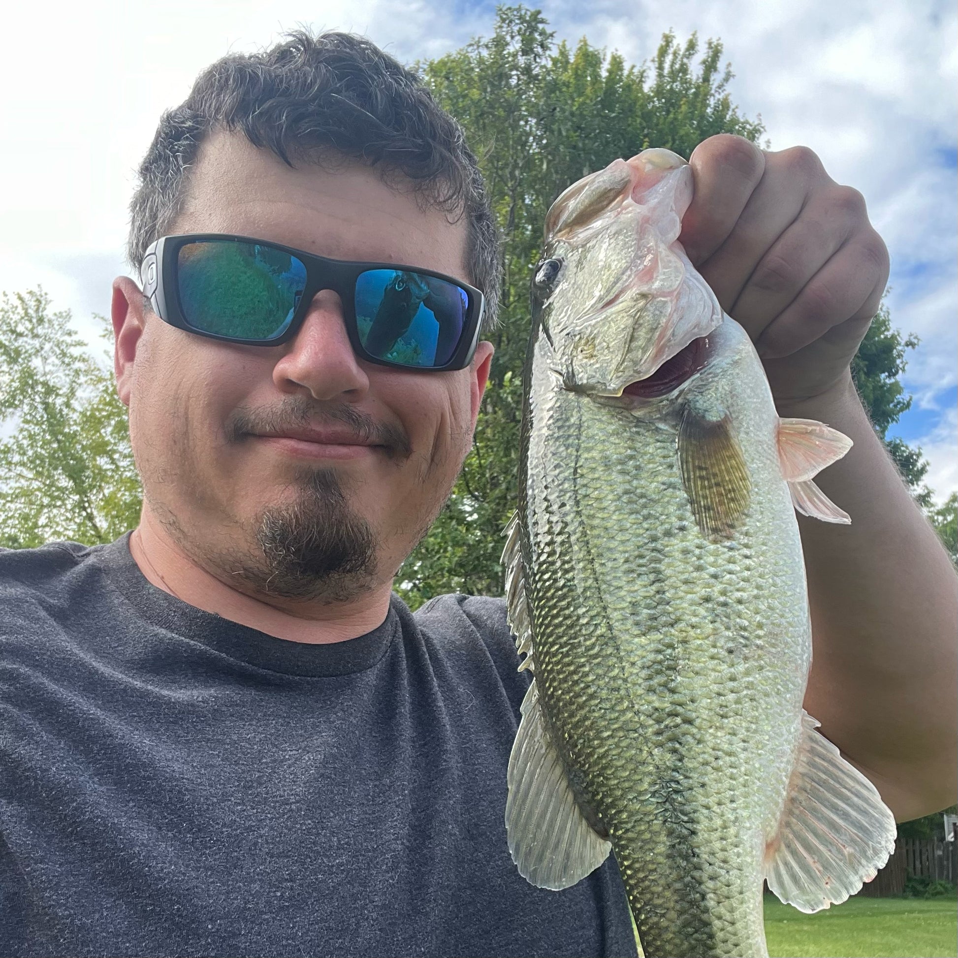Speedball Double Willow Spinnerbait - fishing lures