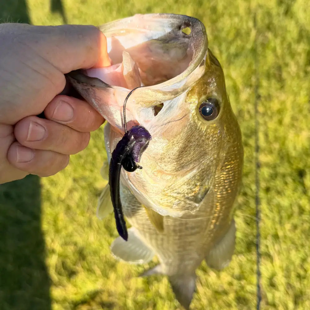 Stardust Elite Shakey Head Jig (3pk) - fishing lures