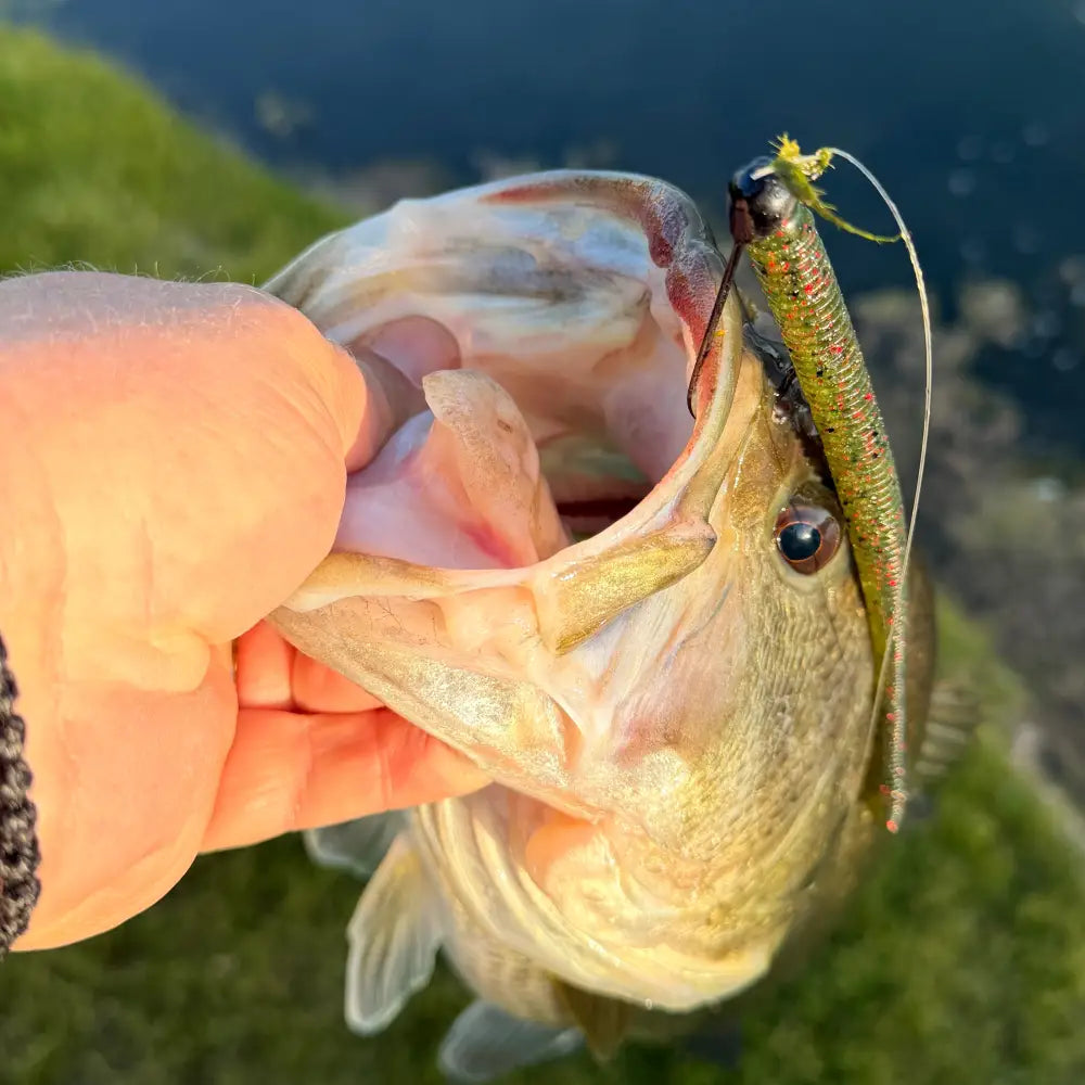 Stardust Elite Shakey Head Jig (3pk) - fishing lures