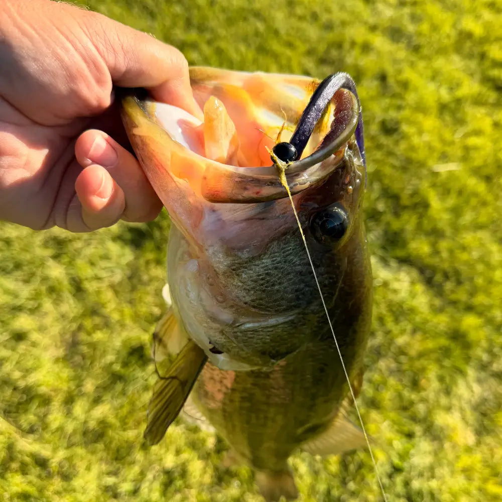 Stardust Elite Shakey Head Jig (3pk) - fishing lures
