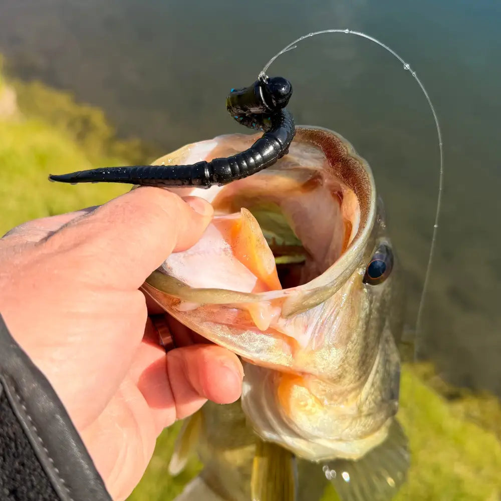 Stardust Elite Shakey Head Jig (3pk) - fishing lures