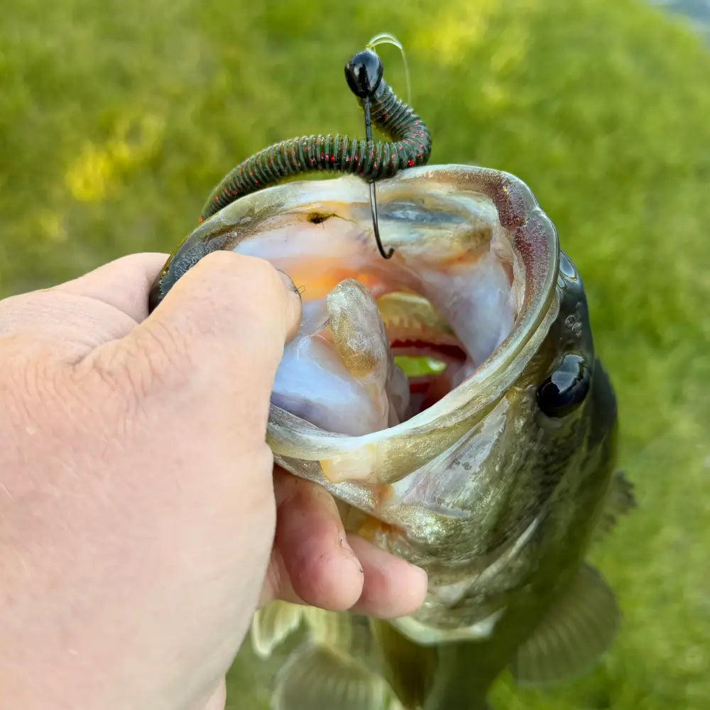 Stardust Elite Shakey Head Jig – Bassdope Lures