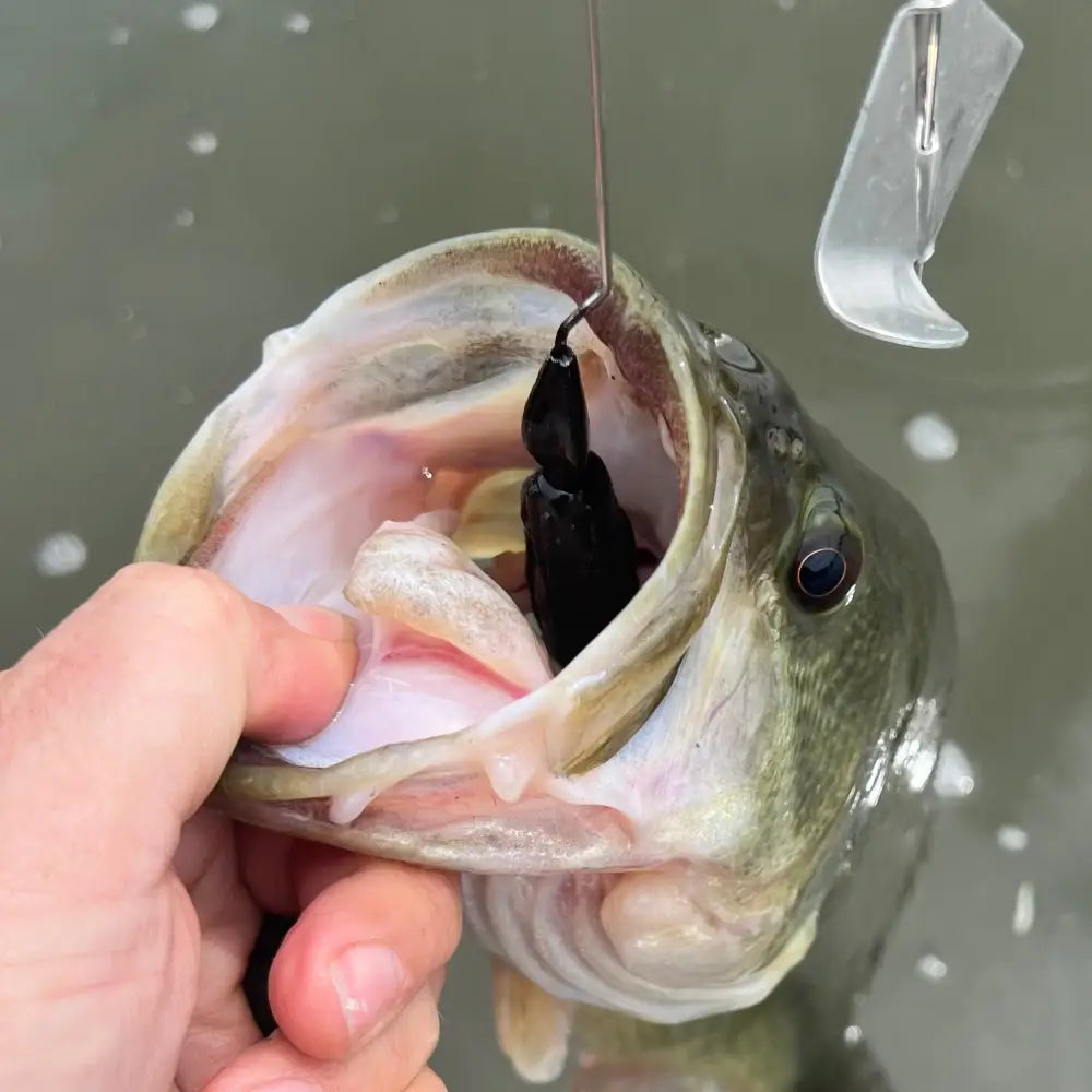 Totally Buzzedbait - fishing lures