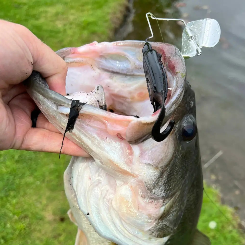 Totally Buzzedbait - fishing lures