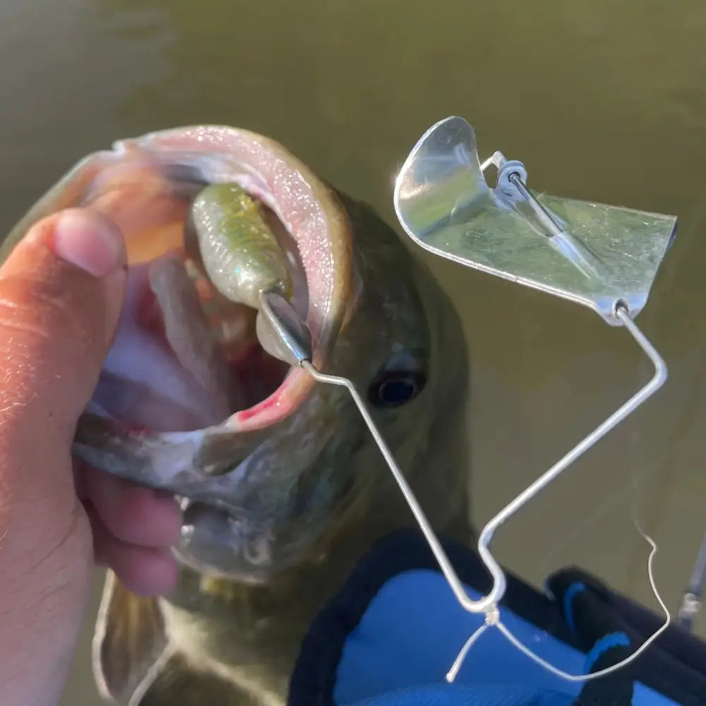 Totally Buzzedbait - fishing lures